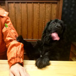 中村屋 - あずきちゃん♪