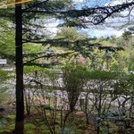 トラットリア プリモ - 風景