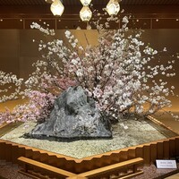 日本料理 山里 - 