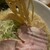 野方ホープ - 料理写真:麺