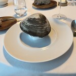 モリエール モンターニュ - 