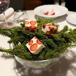 モリエール モンターニュ - 