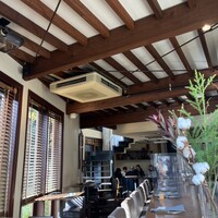 coci - 