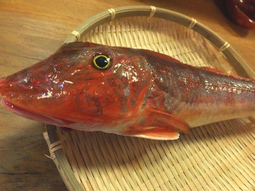 丸に梅鉢 - 郡山（居酒屋）の写真