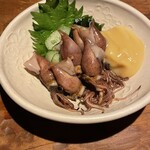 アポロプラス - 