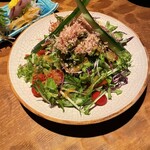 アポロプラス - 