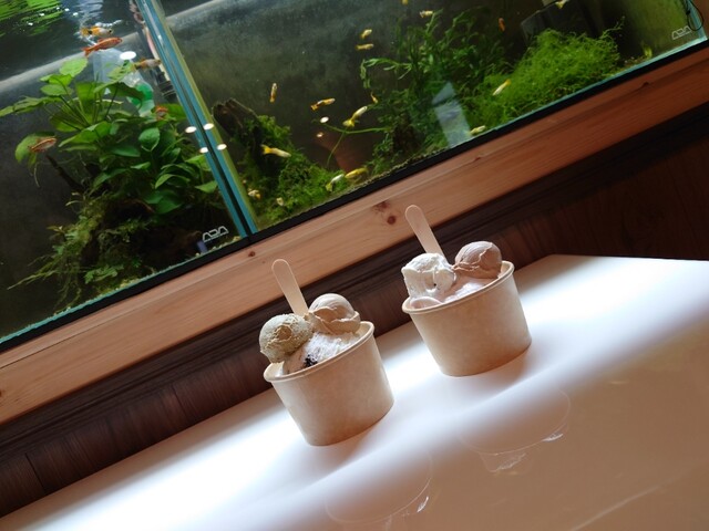 りんく - 南小樽（ジェラート・アイスクリーム）の写真