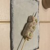 Yakitori Tamawa - 