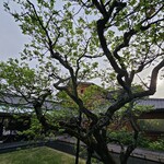 Toraya Karyou - 庭