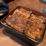 Aikou Unagi - 