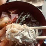 すっつしらす会館 - 