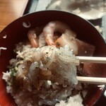 すっつしらす会館 - 