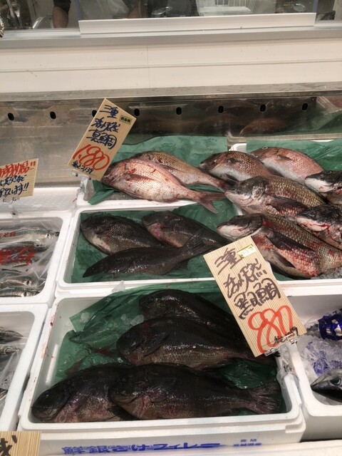 Tachiya Kusunoki Ten photo 5