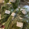 ドクターごはん 金座街店