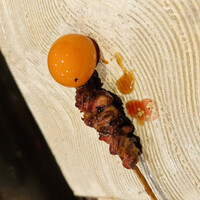 虎ノ門 焼鳥國よし - 