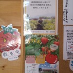 PIZZERIA LUNA E MARE - 