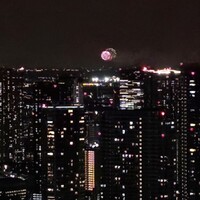 焼肉トラジ PARAM カレッタ汐留店 - 
