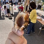 兎月園 - 「みたらし団子」と「大福」を一緒に食べたような不思議な甘塩っぱい味です。
            中の餡子は「こし餡」(*´ω｀*)
            色々、アイディアを出して考えたって感じの面白い名物でした。