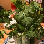 ベトナム フロッグ 汐留店 - 