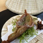 施膳ろくざんさ - 