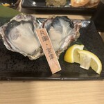 日本酒と牡蠣...時々おでんBACHIYA - 