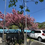 生そば・下山 - 