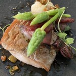 マダム・トキ - 