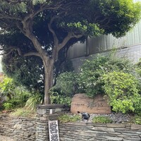 羽根澤屋別邸 日本料理 満うら - 