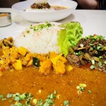 タシモリカレー - 左3品のサブおかずを一緒に楽しめるのもイイ、右が八尾産若ごぼうのキーマカレー。ライスの量も満足量。食後は頭皮に軽く汗。