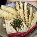 Tano Tsu Udon - うどんを圧倒してるトッピングのごぼう天（驚