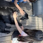 Drive in Ichinomiya - 