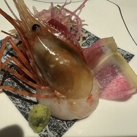 新宿 鮨 よこ田 - 