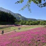 ふるさと両神　両神コンニャク専門店 - 