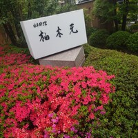 柚木元 - 