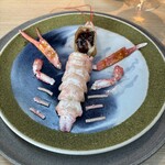 noma - Whole cooked langoustine