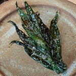 noma -  lamb's ears？（失念）