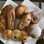 天然こうぼぱん とことこ - 新入生のお出ましだ〜井上陽水(^o^)