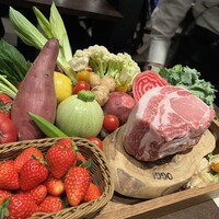 オッジ ダルマット 西麻布店 - 