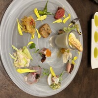 オッジ ダルマット 西麻布店 - 