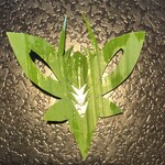 すし梅 - 料理写真: