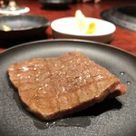 士士 - シャトーブリアンちゃん