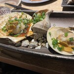 牡蠣・貝料理居酒屋 貝しぐれ - 