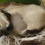Marusanya - でっかい岩牡蠣〜時価だぁ〜１個１４００円くらいだったかな？！(笑)