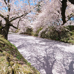 ポルトブラン - 快晴で美しい外壕の花筏