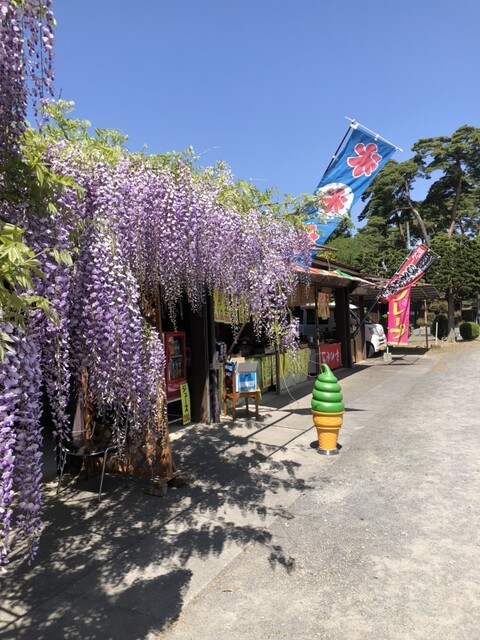 須賀川牡丹園 南門売店 - 川東（売店）の写真