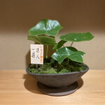 日本橋蛎殻町 すぎた - 20周年おめでとうございます！