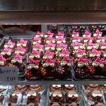 Shita Ameya - 展示櫃，下層是一般的狸貓