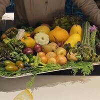 レフェルヴェソンス - 