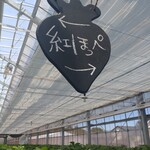 ジョウモン ファーム - 