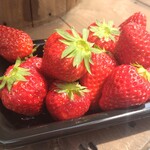 ジョウモン ファーム - 